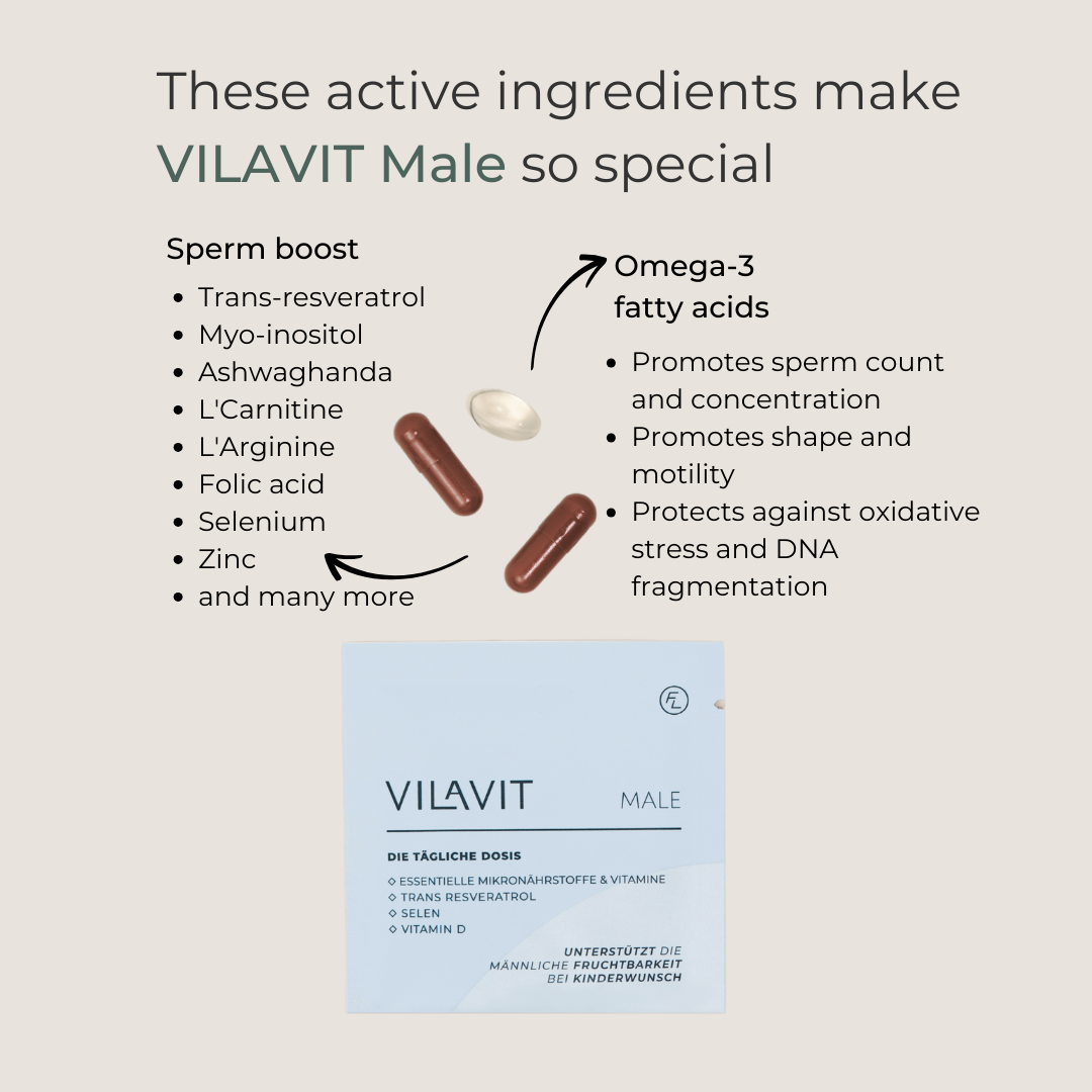 VILAVIT Male