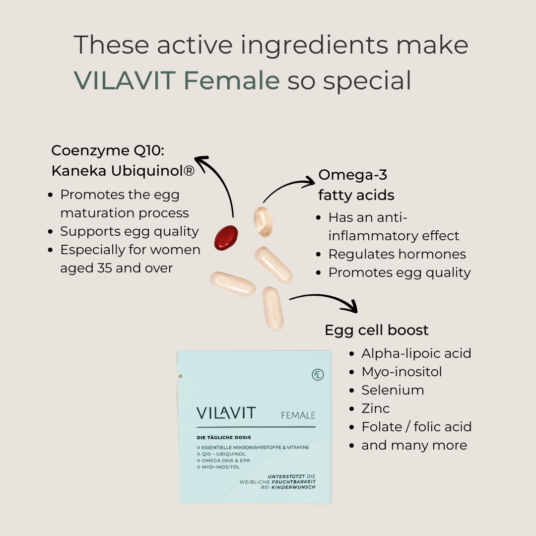 VILAVIT Female