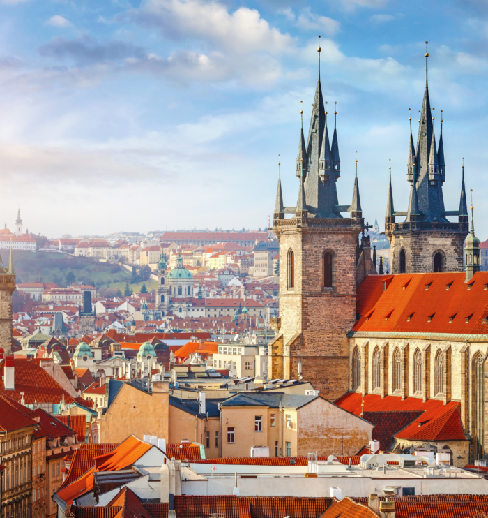 In vitro fertilization (IVF) in the Czech Republic – opportunities and support for couples and individuals