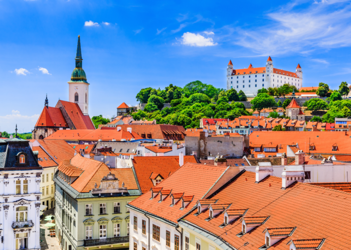 In vitro fertilization (IVF) in Slovakia – opportunities and support for couples and individuals