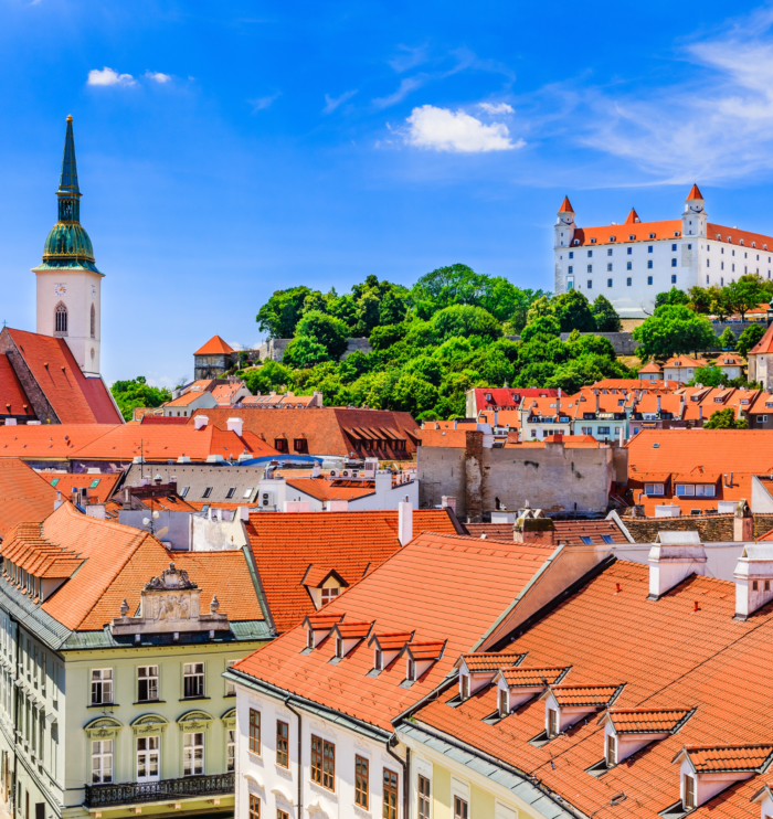 In vitro fertilization (IVF) in Slovakia – opportunities and support for couples and individuals