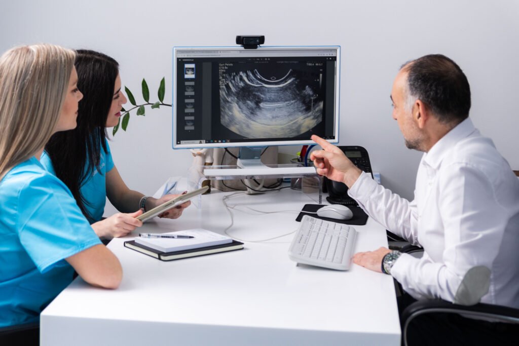 A gynecologist at the Embryolab clinic in Thessaloniki shows an ultrasound image to the team of specialists.