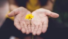 An open hand holding a yellow flower - symbol of psychological support in the in vitro fertilization process