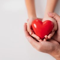 Step towards the goal 1 The hands of an adult and a child holding a red heart, a symbol of love and support